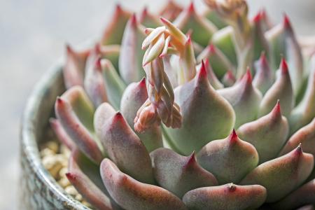 ɽۿൺִŶ:йǻ۸ۿػˡ