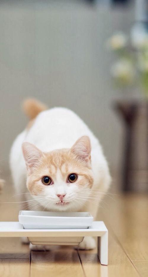 ⽻й߶¹簲ȫԺЧ